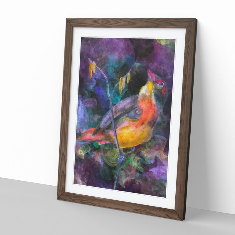 Colourful Bird - Picture Frame Graphic Art, 65cm H x 48cm W x 2cm D, Walnut Framed