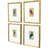 Sassy Birds Framed Art