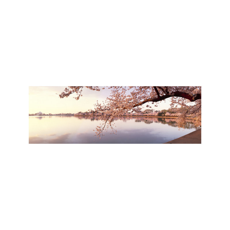 Cherry Blossoms At The Lakeside, Washington Dc, Usa - Wrapped Canvas Panoramic Print, 121.92 cm H x 40.64 cm W x 1.91 cm D