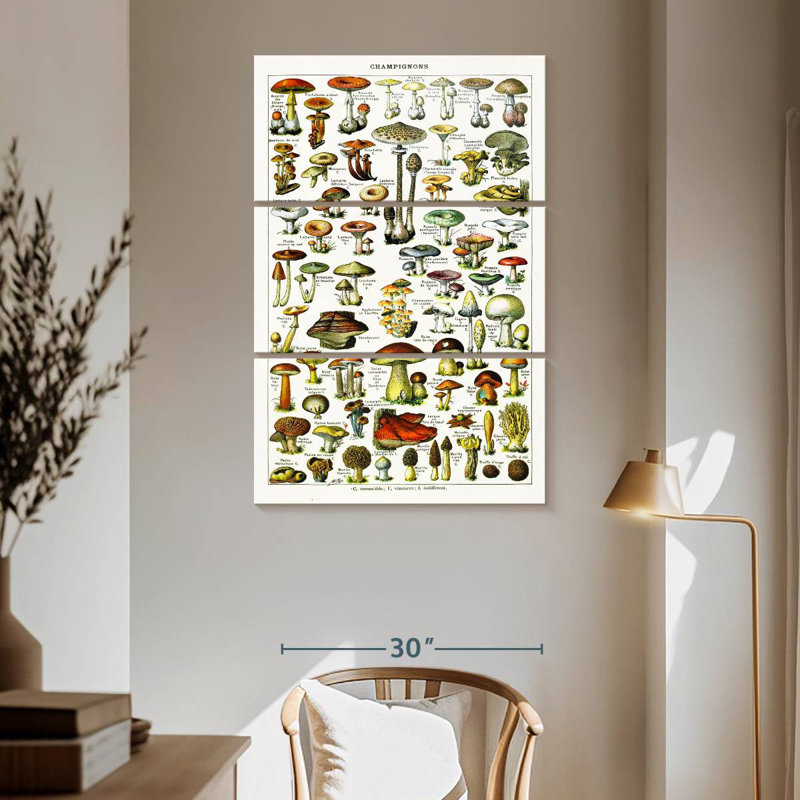 Yarlin Mushroom Varieties, 65" H x 42" W