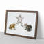 Illustrations of Toads by John Edward Gray - Picture Frame Painting Print-55576121-55576120