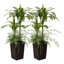 Dracaena artificiel Adcock 4 pi - Dracaena artificiel résistant aux rayons UV avec jardinière conique et plantes décoratives-824165773-824165762