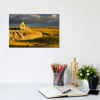 Mule Deer Trio In The Grasslands Of Badlands National Park, South Dakota by Tim Fitzharris - Gallery-Wrapped Canvas Giclée on Canvas