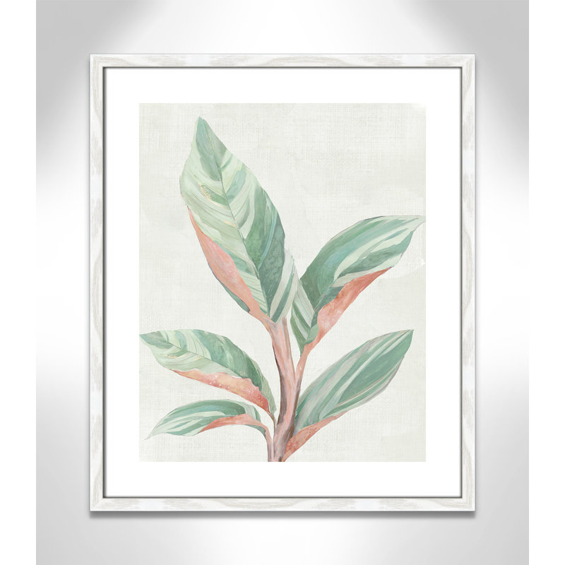 Ginger Plant " Ginger Plant II " by Maya Woods, White Wood Grain Paper, 25.5" H x 21.5" W x 0.75" D