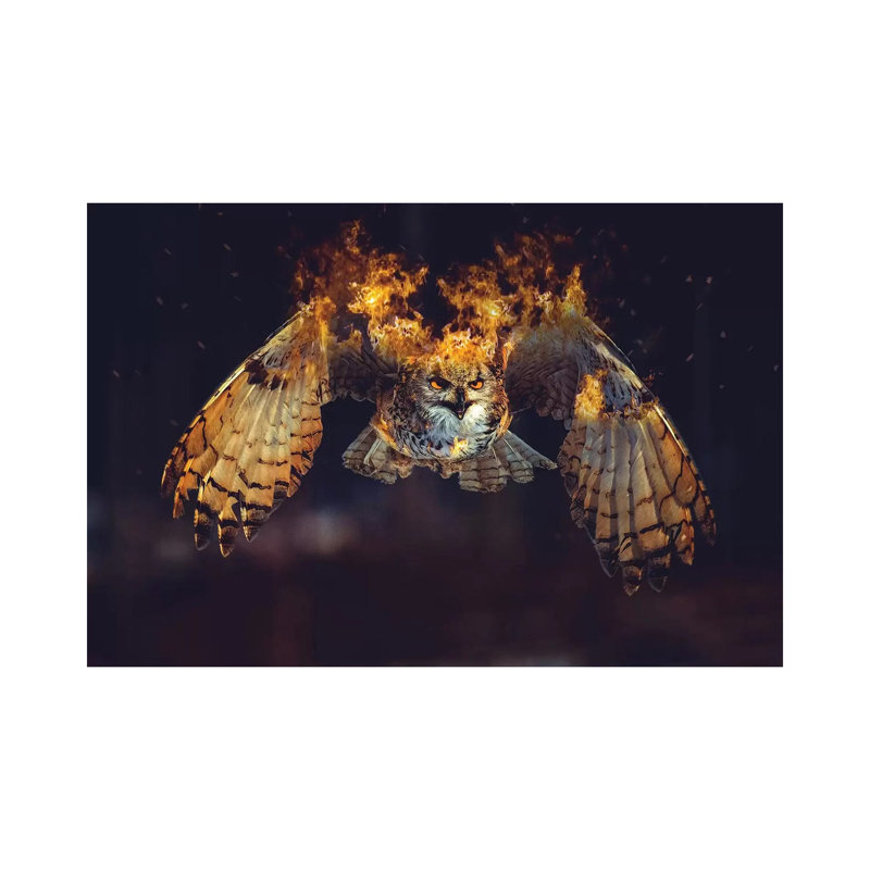 Owl On Fire by Paul Haag - Print on Canvas, 20.32 cm H x 30.48 cm W, Wrapped Canvas