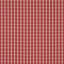 Portsmith Check Fabric