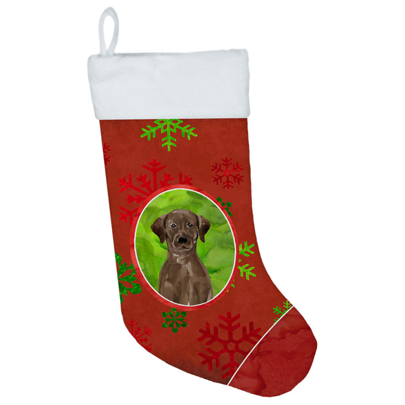 Chaussette de Noël, Labrador Retriever chocolat