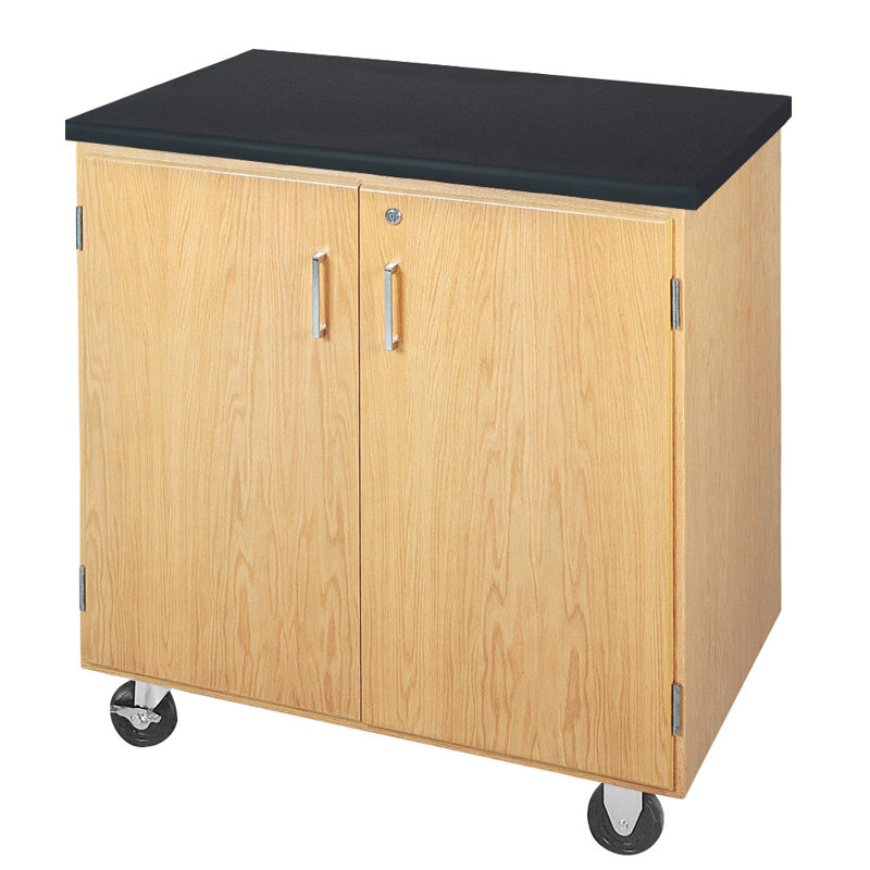 Access Quick-Ship Mobile Storage Cabinet with Swinging Doors