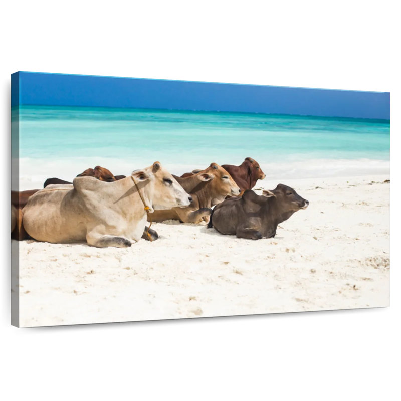 Crowle Zanzibar Beach Bétail, H 8 po x l 12 po