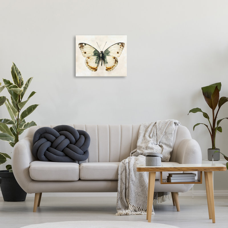 Toile Moth Study Symmetry, design par Creative Studio, H 16 po x l 20 po