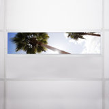 Tree Rectangle Fixture Component Ceiling Light