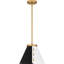 Danyall 1-Light Brushed Weathered Brass Pendant Light
