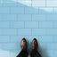 Piscina Brick 4-3/4 In. X 9-5/8 In. Porcelain Floor And Wall Tile