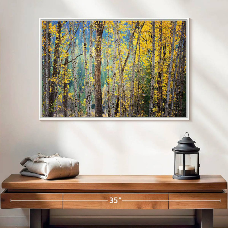 Kootenay Fall II, 25 po x 17 po, Cadre flottant blanc
