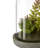Sydnee 18cm Succulent in Cement Terrarium