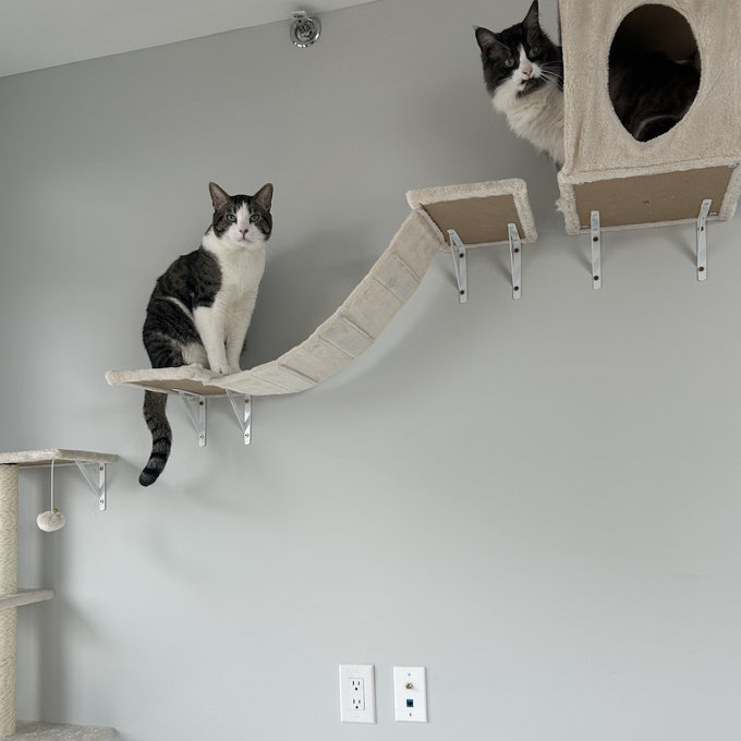 5pc Wall-mounted Cat Furniture - Beige