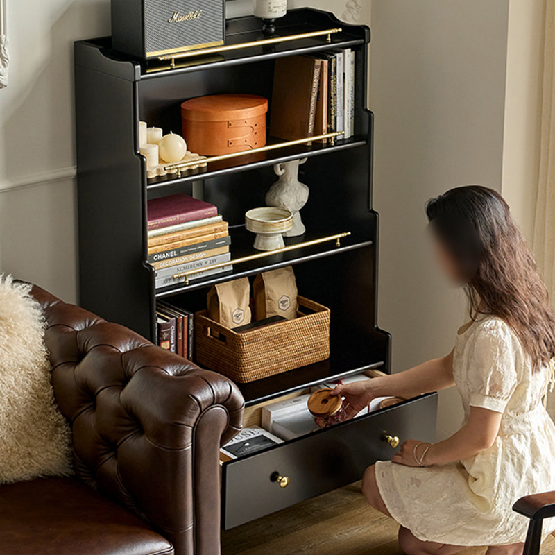 Bibliothèque luxueuse de style français, Noir