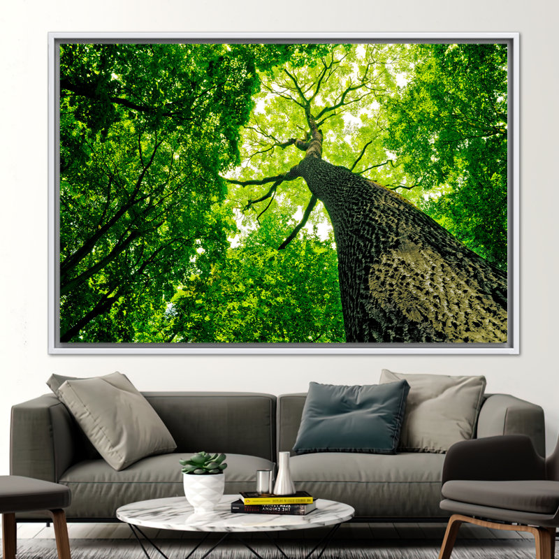 Print on Canvas, 25 cm H x 35 cm W, White, Framed Print without Mat