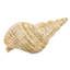 Godeus Decorative Object