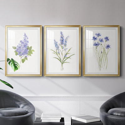 Reproduction encadrée de qualité lilas botanique - délicat prêt à accrocher