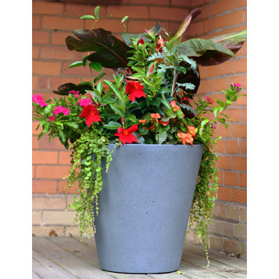 Emerson Self Watering Concrete Texture Pot Planter