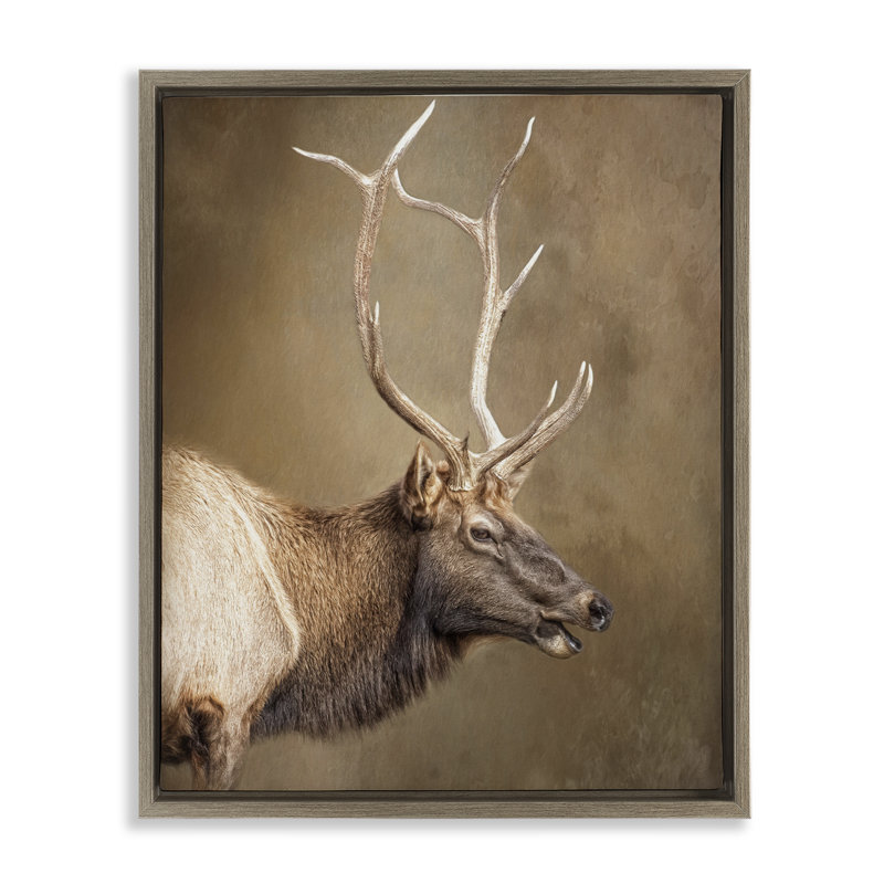 Cadre flottant Outdoorman Rustic Deer, design par Kelley Parker, H 21 po x l 17 po, Cadre flottant orme Montalcino