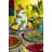 Mexican Flowers 18 Piece Porcelain Dinnerware Set - Service for 6