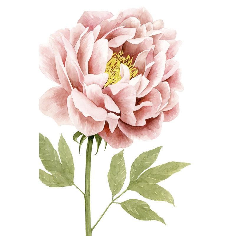 Aquarelle, pivoine I, peinture sur toile, H 12 po x l 8 po