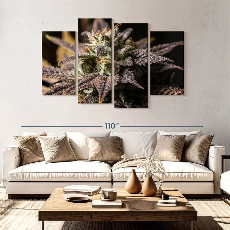 Marijuana en hiver, H 54 po x l 84 po