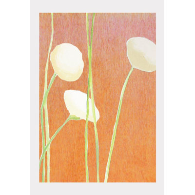 Fleurs crème sur fond orange - aucune impression de cadre