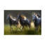 Art sur toile Milan Malovrh Aura-1350496235