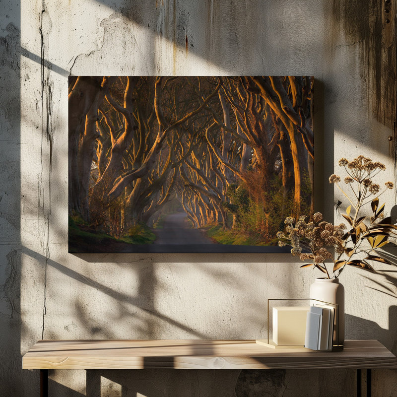 Wrapped Canvas Print, 50.8 cm H x 76.2 cm W