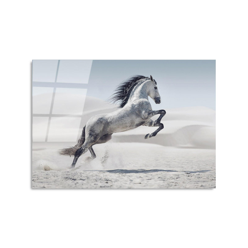 Boze Print on Glass