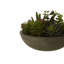 29cm Faux Succulent Plant in Stone Planter