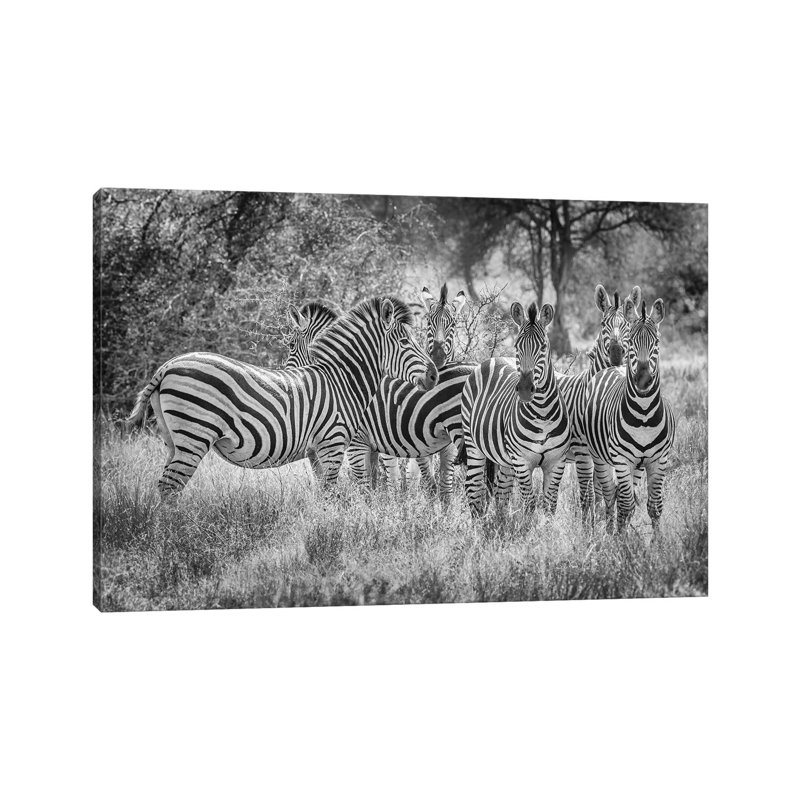 Boys In The Band by Jeffrey C. Sink - Wrapped Canvas Print, 66.04 cm H x 45.72 cm W