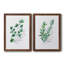 Freshly Picked I - Ensemble de 2 peintures sur toile encadrées-1667209250-1667209249
