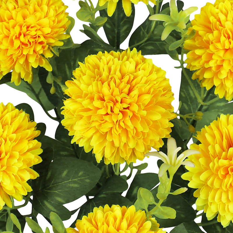 Pom Pom Mum Flower, Jaune