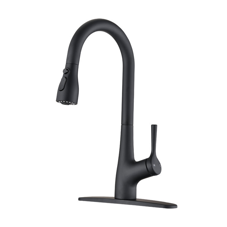 TITAMORE Pull Down Kitchen Faucet