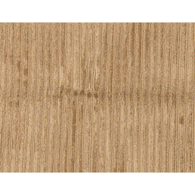 Hand Knotted Area Rug in Silver