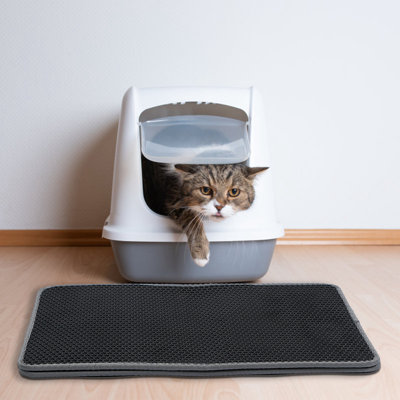 Tapis de litière pour chat