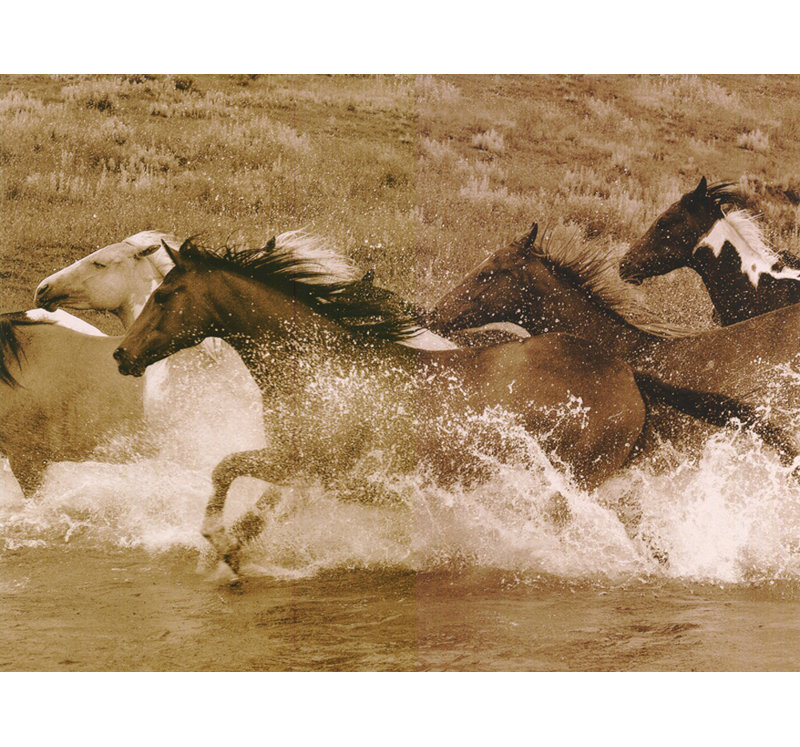 River Race, 36" H x 48" W