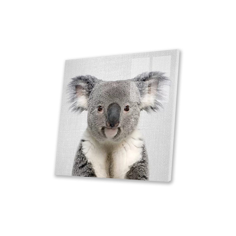 Koala, impression sur verre acrylique, H 24 po x l 24 po x P 0,25 po