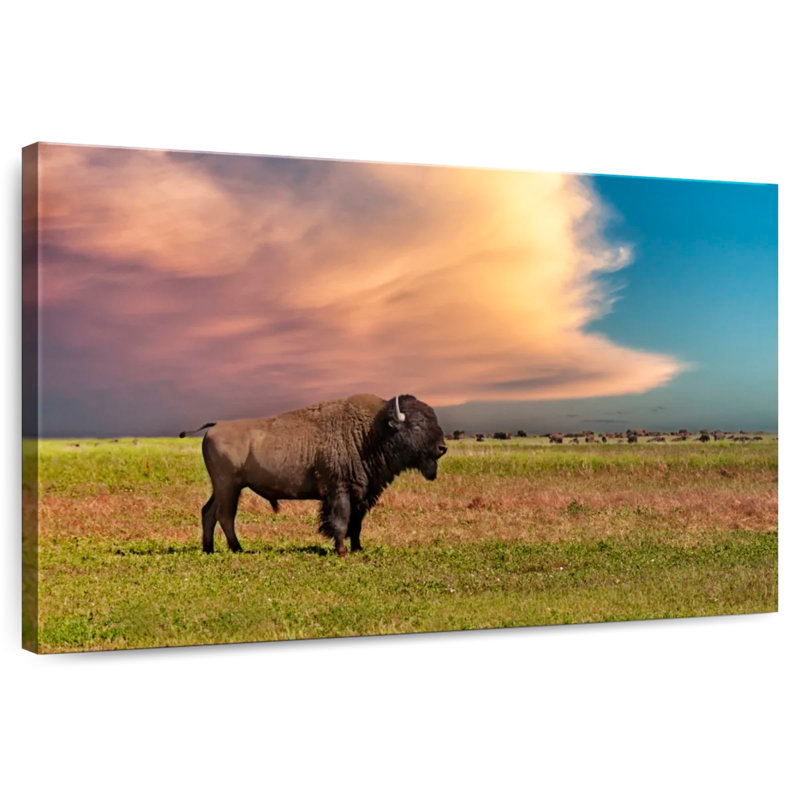 Brampt Badlands Bison, 24" H x 36" W