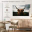 Vache Highland Open Field-1095245118-1095245116