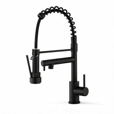 Robinet de cuisine en acier inoxydable noir mat avec douchette rétractable et poignée à ressort à poignée simple