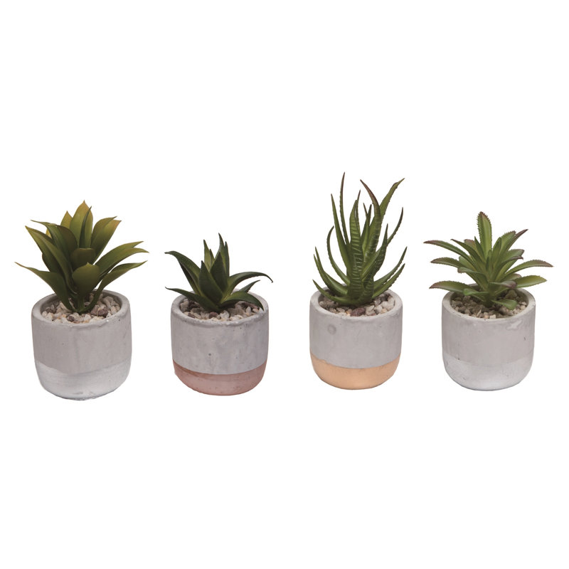  Plastique / plante grasse Dol avec ensemble de 4 décorations de printemps