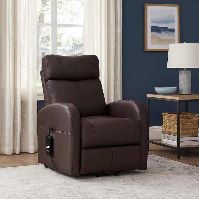 Fauteuil inclinable électrique lève-personne standard Axcel, Similicuir brun