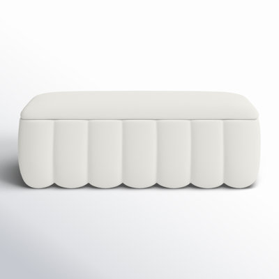 Jeddo 53.5" Wide Rectangle Storage Bench by Joss & Main