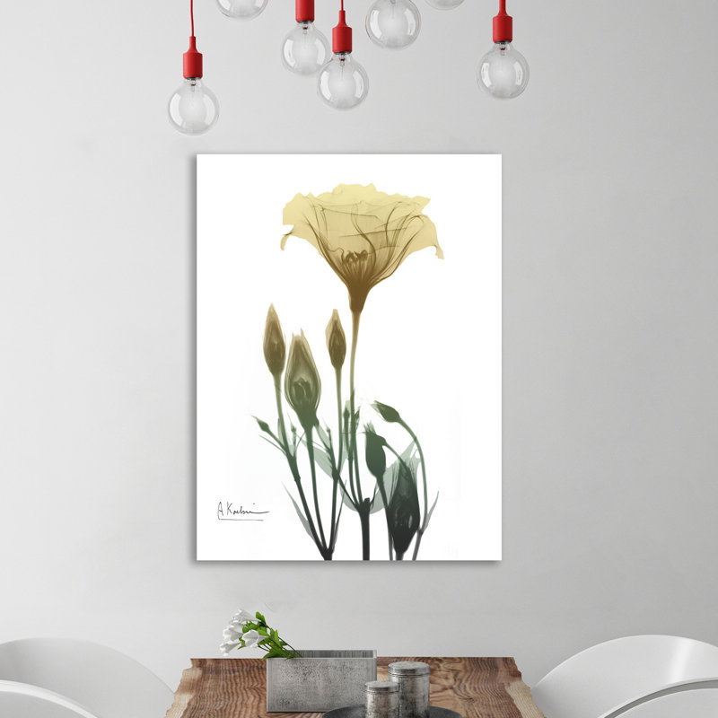 Ocre Bloom 2 - Wrapped Canvas Print, 122 cm H x 91 cm W
