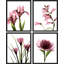 Radiographie de fleurs botaniques roses en gros plan sur papier, impression de 4 pièces-97782394-97782392